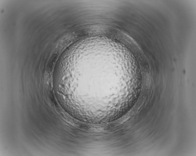 X0000068280701200604241233