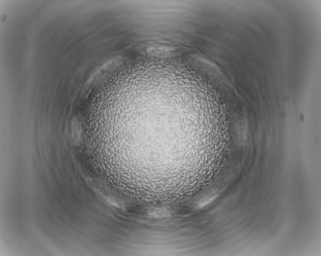 X0000068280705200604241233