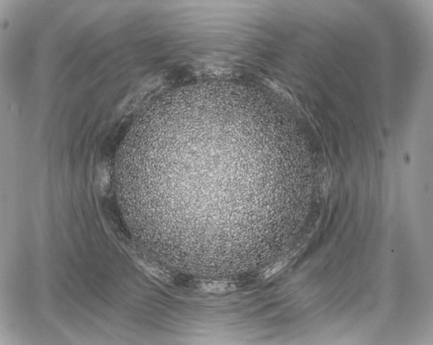 X0000068280709200604241233