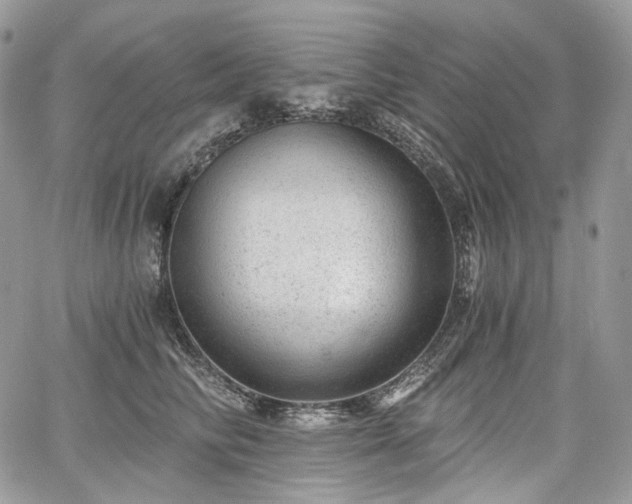 X0000068280710200604241233