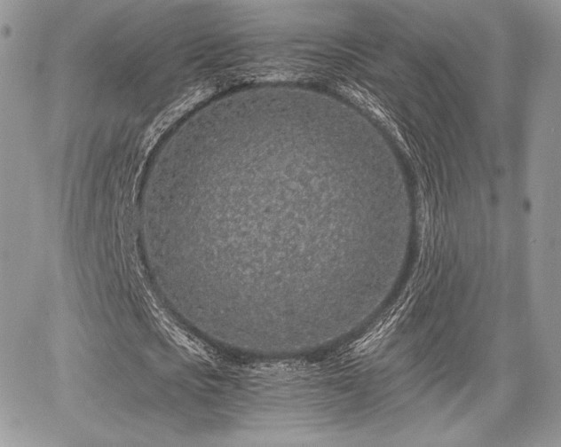 X0000068280721200604241232
