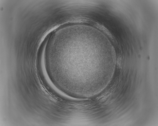 X0000068280724200604241232