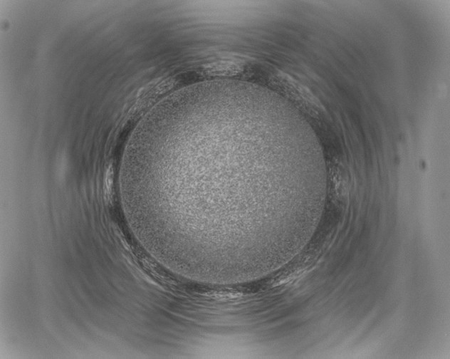 X0000068280745200604241232