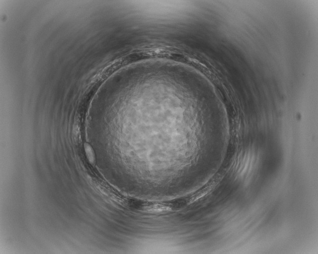X0000068280754200604241232