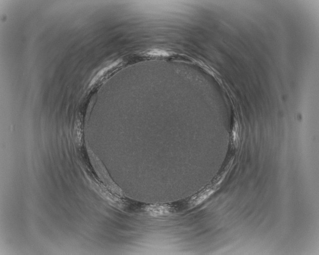 X0000068280762200604241232