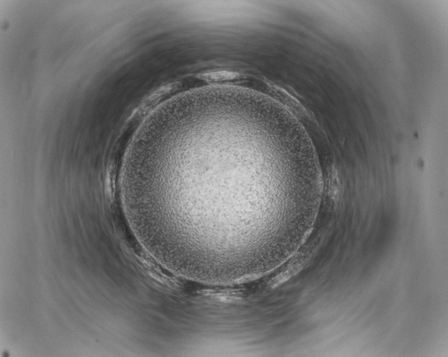 X0000068280763200604241233