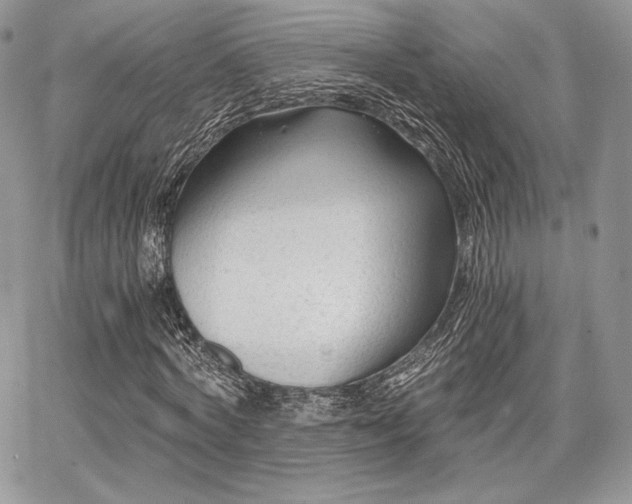 X0000068280772200604241232