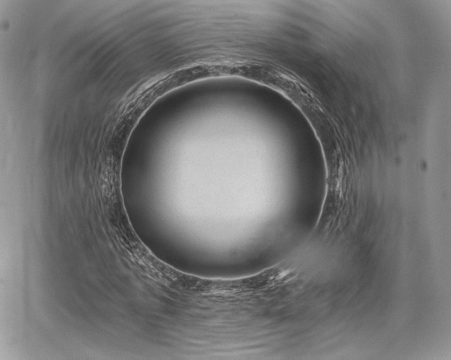 X0000068280773200604241232