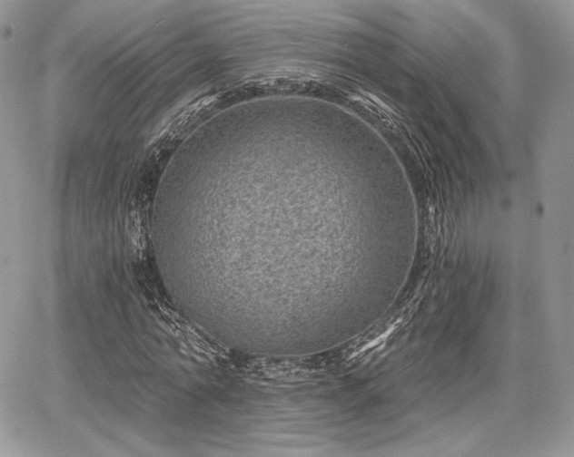 X0000068280774200604241232