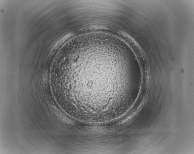 X0000068280785200604241232
