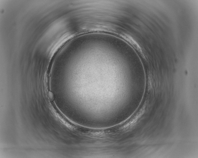X0000068280798200604241231