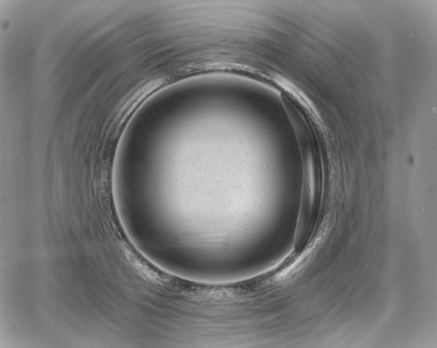 X0000068280801200604241231