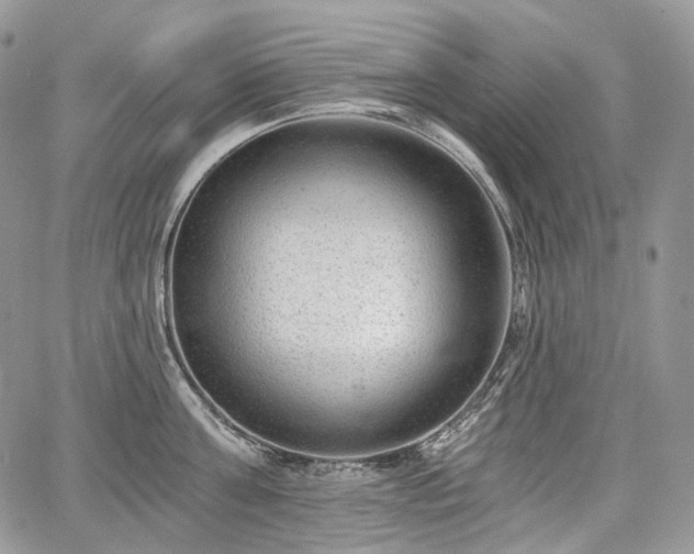 X0000068280811200604241231