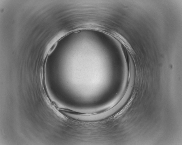 X0000068280812200604241231