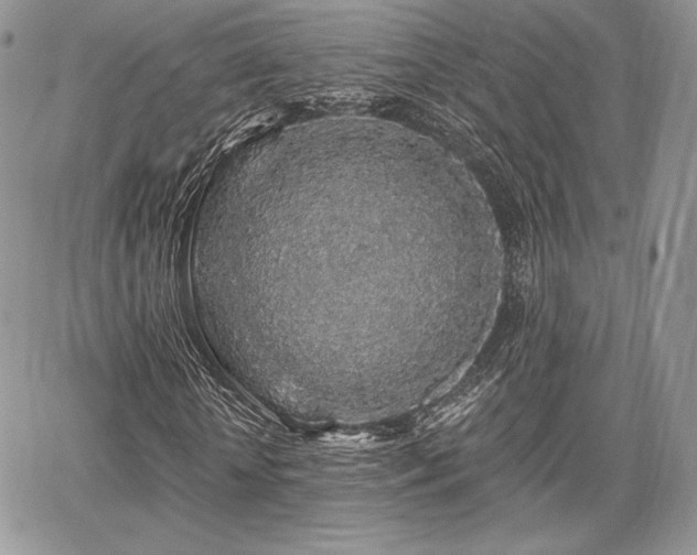 X0000068280818200604241230