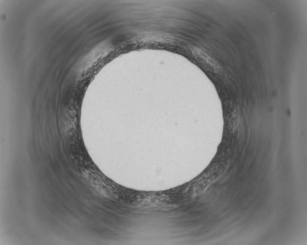X0000068280824200604241230