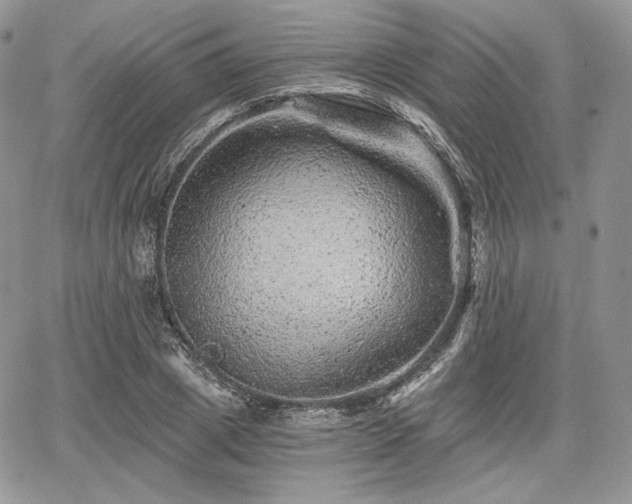 X0000068280833200604241230
