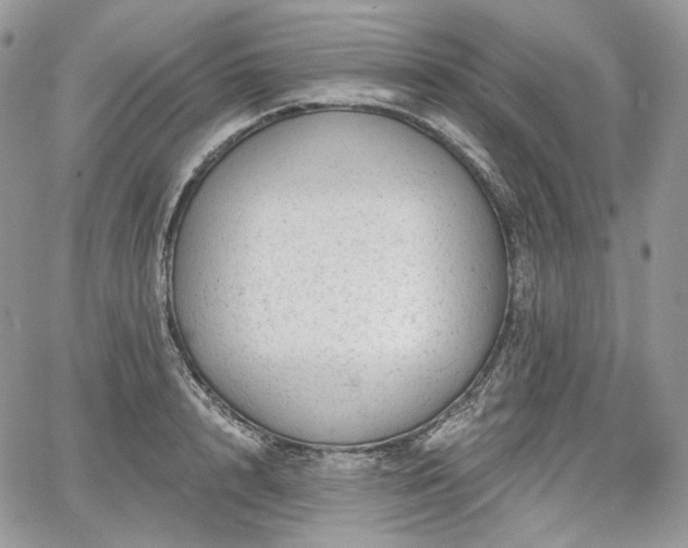 X0000068280848200604241231