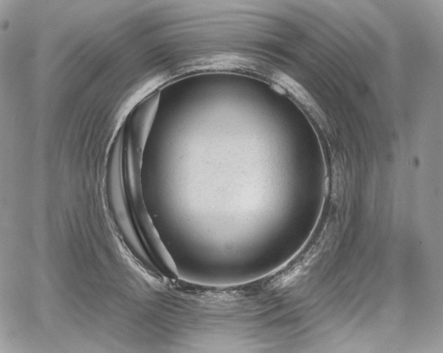 X0000068280850200604241231