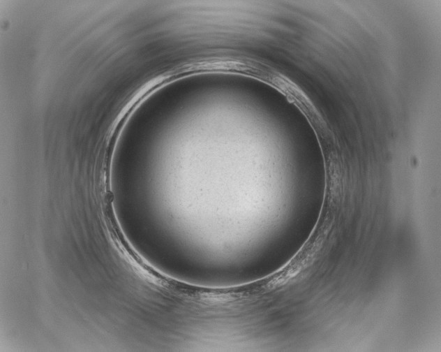 X0000068280852200604241231