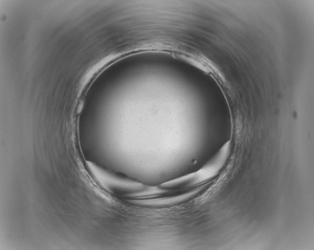 X0000068280854200604241231