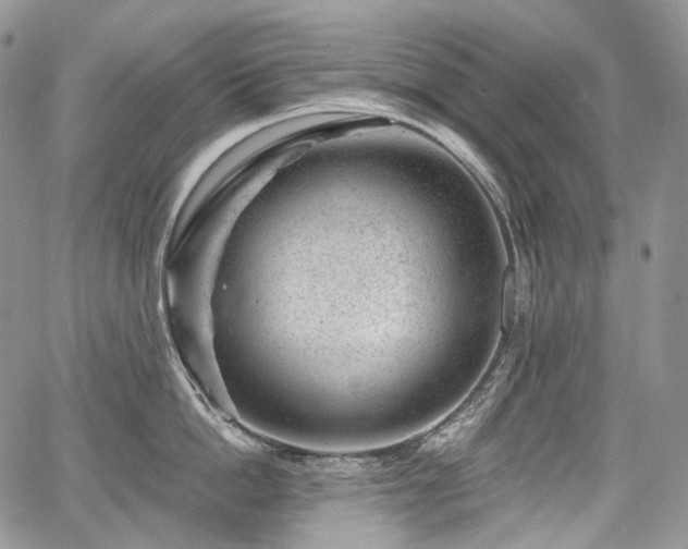 X0000068280862200604241231