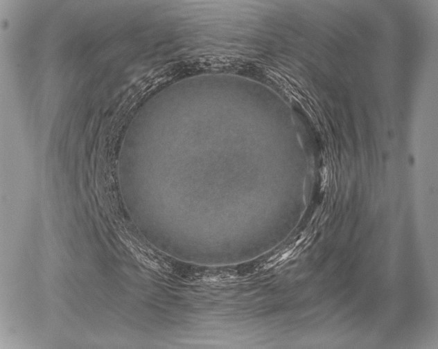 X0000068280865200604241230