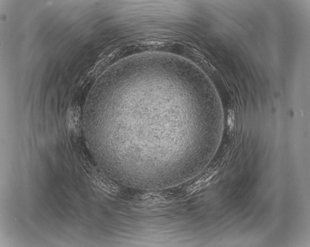 X0000068280867200604241230