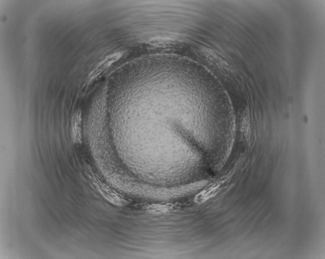 X0000068280868200604241230