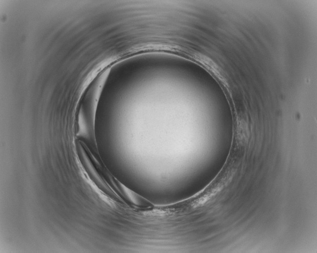 X0000068280898200604241230