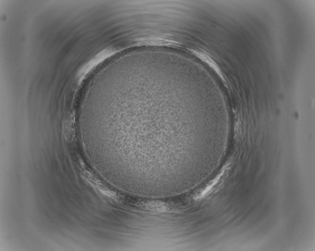 X0000068280971200604241228