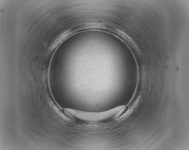 X0000068280985200604241228