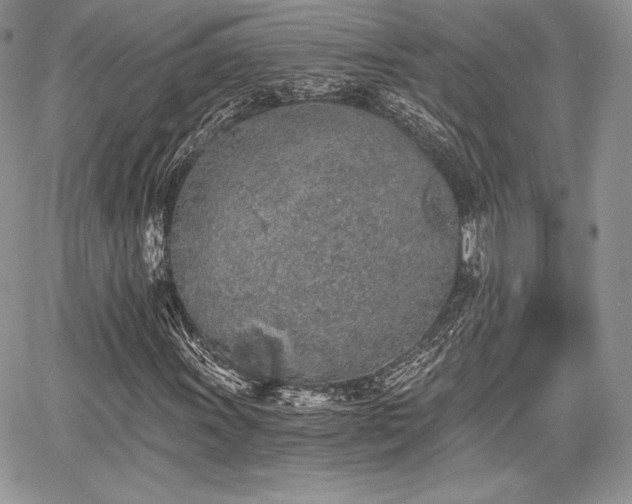 X0000068281011200604241227