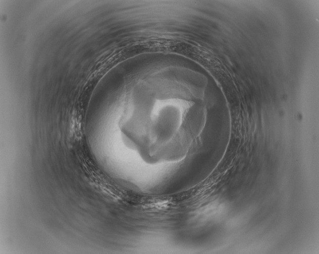 X0000068281013200604241227