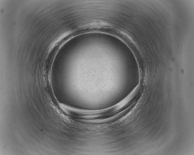X0000068281018200604241227