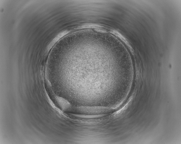 X0000068281049200604241228