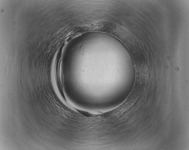 X0000068281058200604241227
