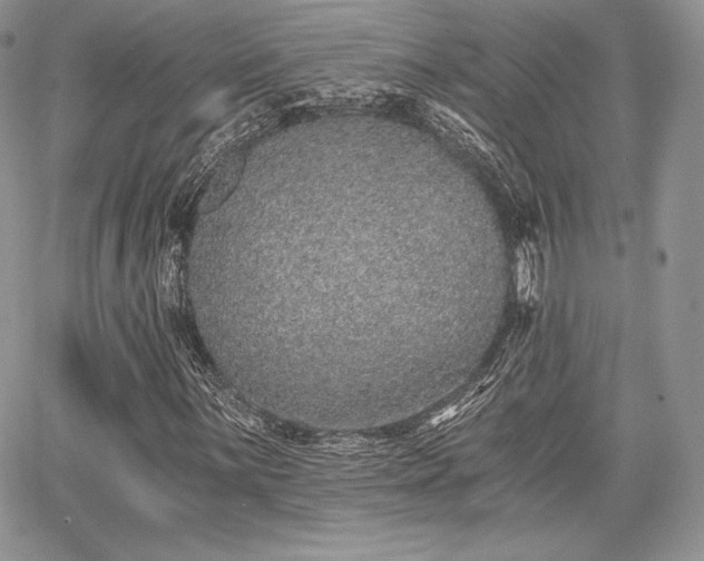 X0000068281059200604241227