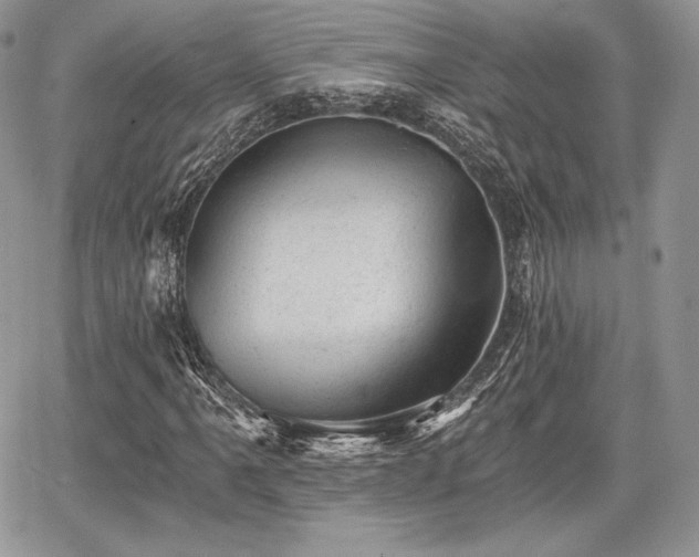 X0000068281061200604241227