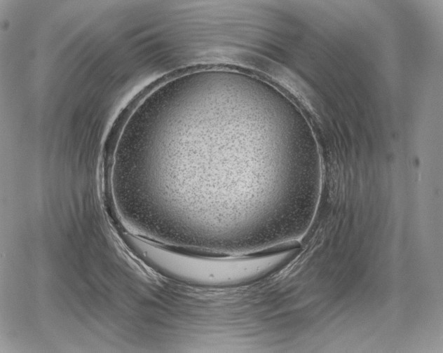 X0000068281076200604241227