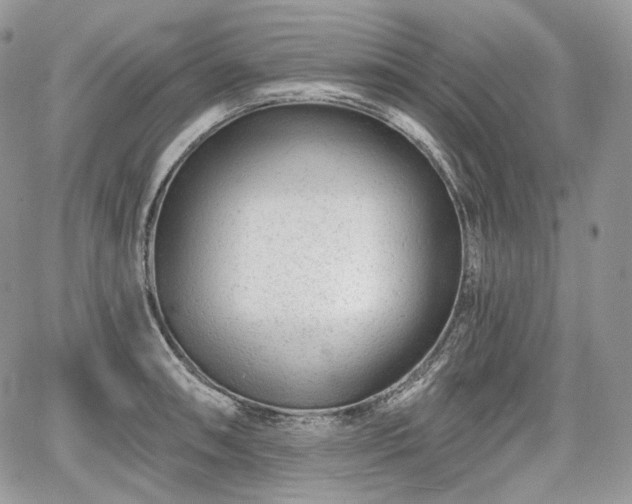 X0000068281090200604241226