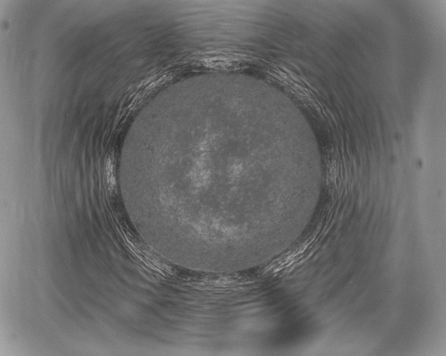 X0000068281106200604241225