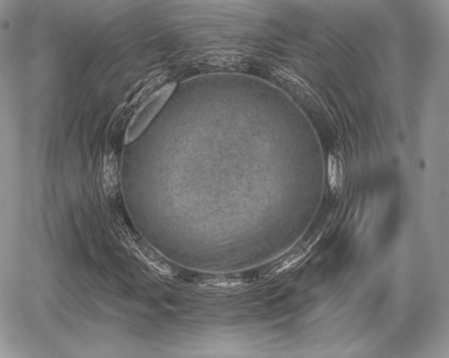 X0000068281107200604241225