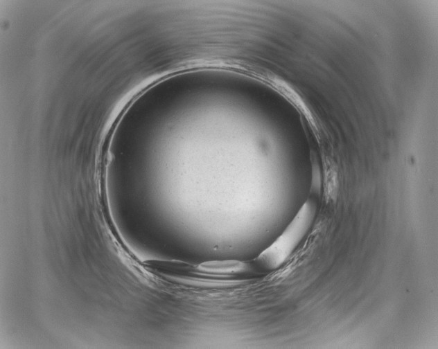 X0000068281148200604241226