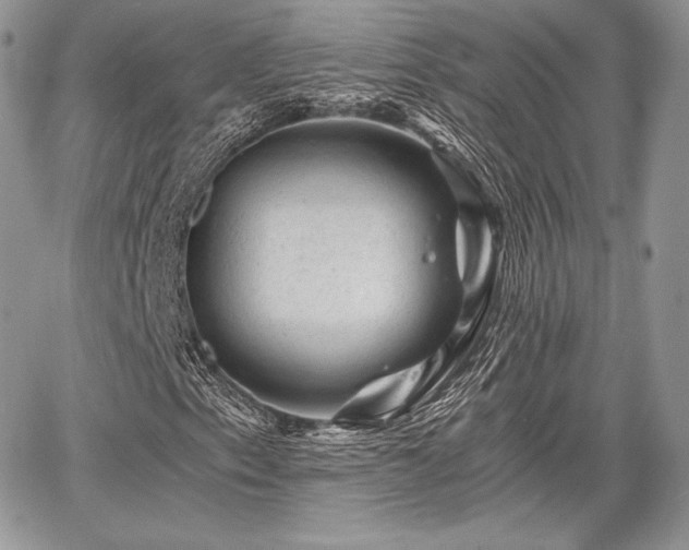 X0000068281153200604241225
