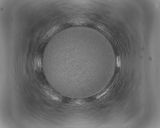 X0000068281155200604241225