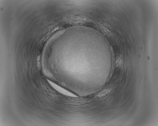X0000068281156200604241225