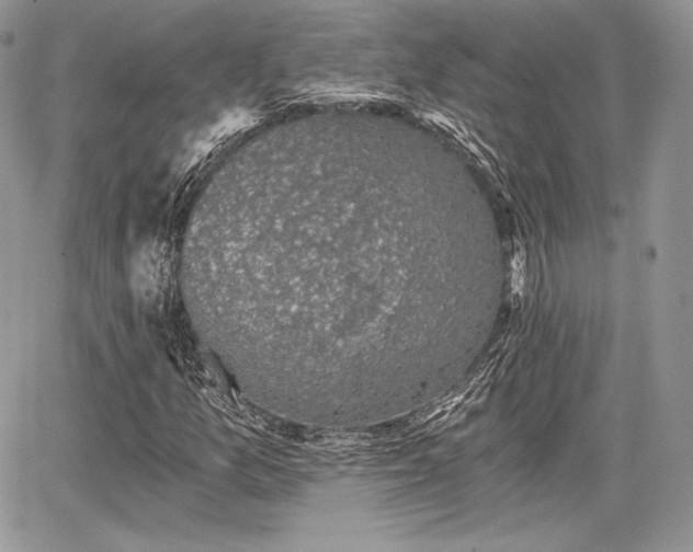 X0000068281157200604241225