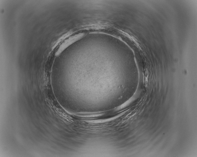 X0000068281160200604241225