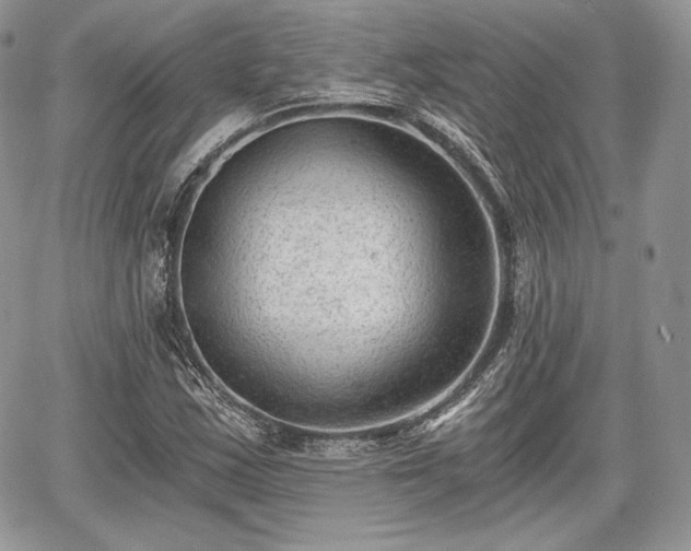 X0000068281163200604241225